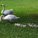 FG Mannheim 18 Motzko Josef